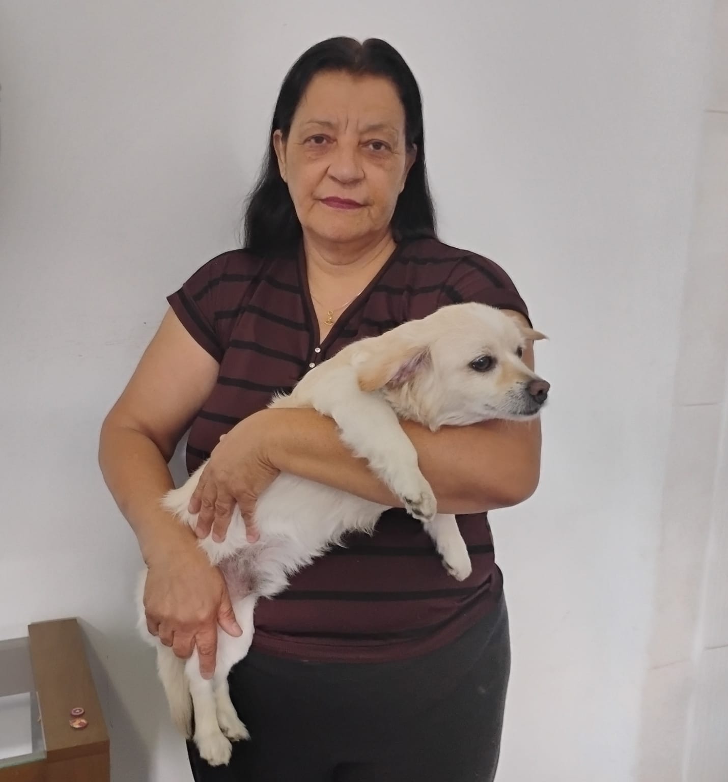 Tutor: Severina Bezerra da Silva, animal: Charle